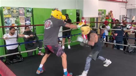 🥊boxing Spar Warz Trueflow Vs Challengers Open Sparring Vol 1