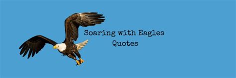 42 Soaring With Eagles Quotes 2025 Mzuri Springs