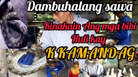 SAWA NA MAALA DAMBUHALA PUMALUPOT KAY K KAMANDAG YouTube