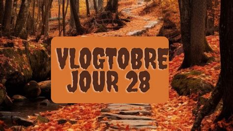 Vlogtobre 28 Enfin reçu Je me gâte Haul d épicerie Dollo YouTube