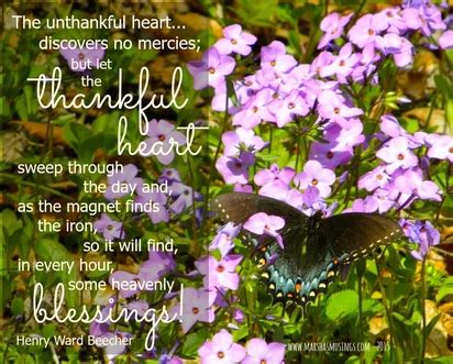 Thankful Thursday - Finding the Blessings - Marsha's Musings