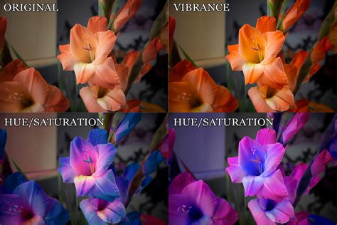 Changing Image By Using Vibrance And Huesaturation On Behance