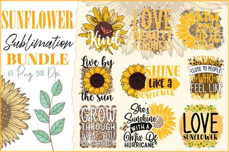 Sunflower PNG Bundle, Sunflower Quotes Png, Sunflower Design Png ...