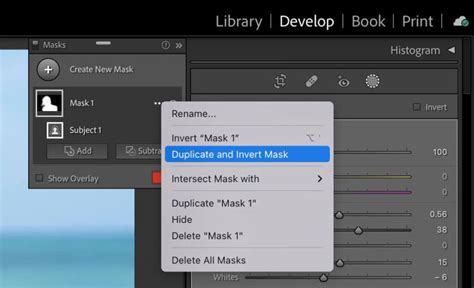 Comment Inverser Et Dupliquer Des Masques Dans Lightroom Classic