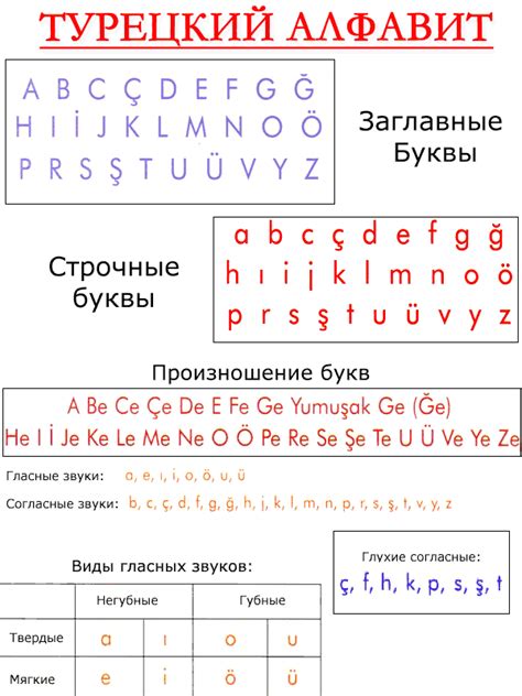 Турецкий Язык В Картинках Для Начинающих – Telegraph