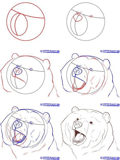 Animal Sketches Animal Drawings Drawing Sketches Bear Sketch Sketch