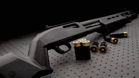 Self Defense Shotguns: What's Best? - Spring Guns & Ammo