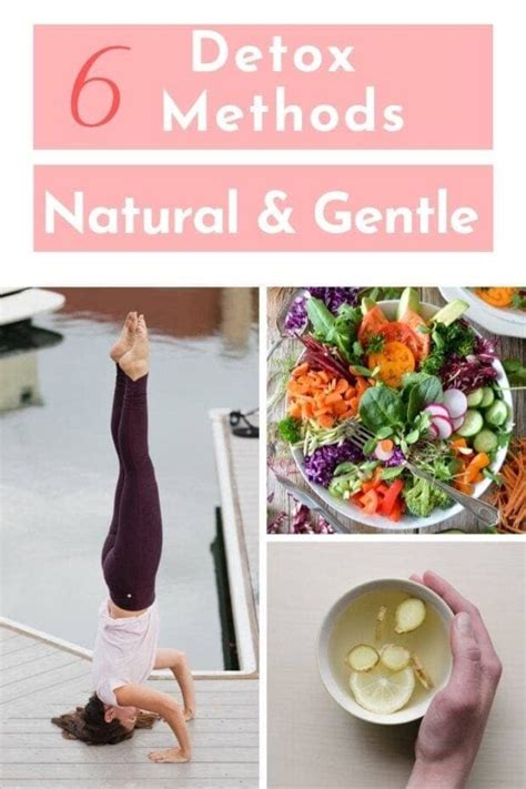 6 Gentle All Natural Detox Methods for Optimal Health | 40 Aprons