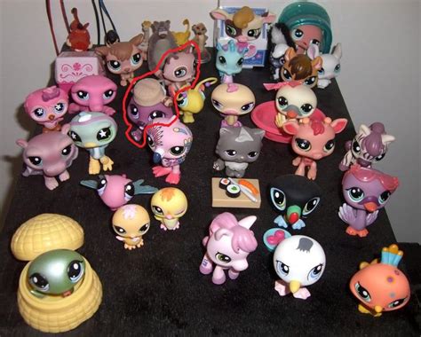 Pin De Maria Fernandez En Littlest Pet Shop