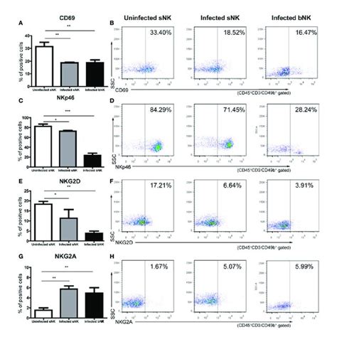 | The phenotypes of NK cells changed after A. cantonensis infection ...