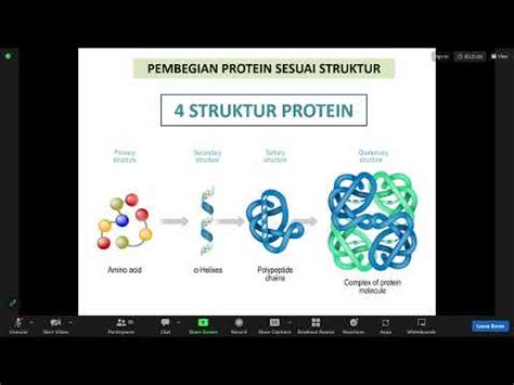 Kuliah Metabolisme Protein Dan Asam Nukleat Dti Youtube