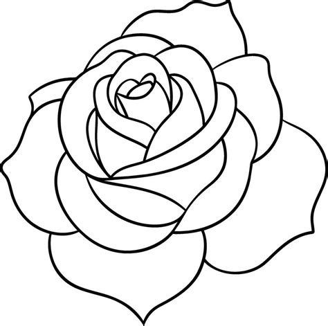 A Rose flower outline art 44186161 Vector Art at Vecteezy