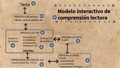 Modelo Interactivo De Comprensi N Lectora