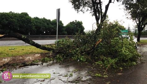 Vento destelha casas e derruba árvores em São Miguel Guia Medianeira