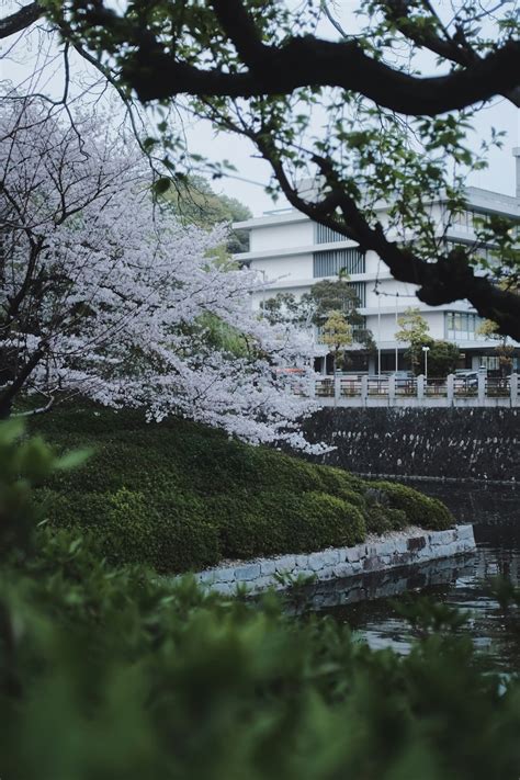 White Concrete Building Near Body Of Water During Daytime Photo Free Grey Image On Unsplash