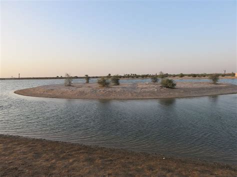 Al Qudra Lake In Dubai Timing Location Weather