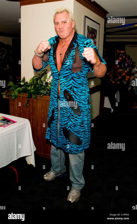 Brutus barber beefcake hulk hogan hi-res stock photography and images ...