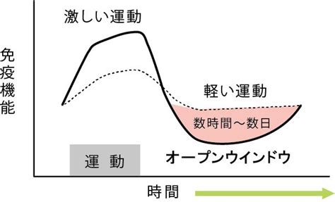 おおつか整形外科blog コラム 2023年12月号 インフルエンザに負けない！？免疫力アップさせるための運動とは？ 熊本市東区の整形