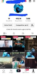 Perfil Tiktok 492K De Seguidores Monetizada Redes Sociais DFG