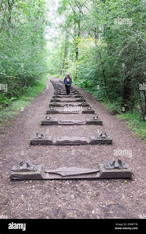 Forest of Dean Sculpture Trail,Sculpture Trail,Forest of Dean,Gloucestershire,England,English ...