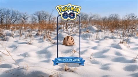 Swinub Community Day Classic Pokemon Go Wiki Gamepress