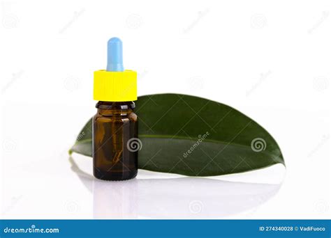 Blank Amber Glass Essential Oil Bottle With Pipette On Green Leaves