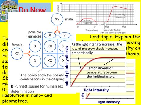 Edexcel CB7 SB7 Control Of Blood Glucose Complete Lesson GCSE Biology