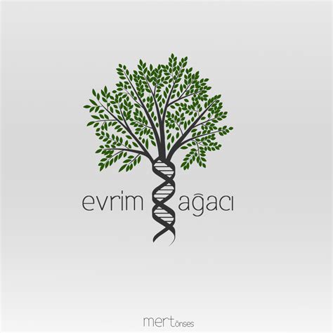 Logo Designs For Evrim Agaci Iii By Mertonses On Deviantart