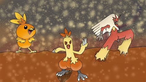 Torchic evolution by Showen123 on DeviantArt