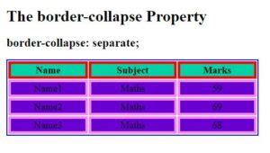 CSS Border Collapse I2tutorials