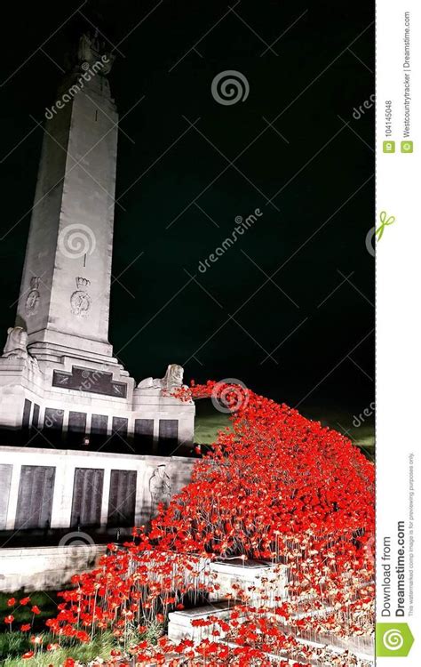 The Poppy Display On Plymouth Hoe Looks Magical At NightThe Poignant