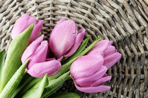 Premium Photo | Beautiful bouquet of purple tulips, on grey wicker ...