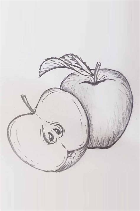 Apple Drawing | How to draw an apple very easy step by step in 2024 | Drawing apple, Apple ...