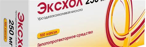 Эксхол: инструкция по применению, цена, отзывы, аналоги капсул 250 и 500 мг
