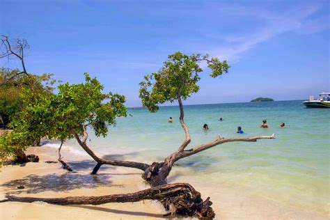 2024 Tour Día Completo a Islas del Rosario y Plancton Bioluminiscente