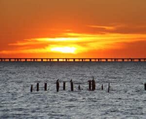 Lake Pontchartrain Fishing: Local Angler's Best Tips - Best Fishing in ...