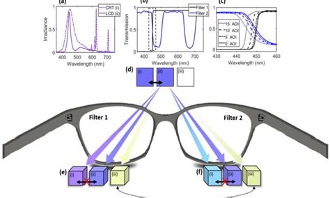 Double Filters Allow for Tetrachromatic Vision in Humans