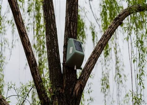 Smog 300 Sensori Sugli Alberi Di Portanuova A Milano Affaritaliani It