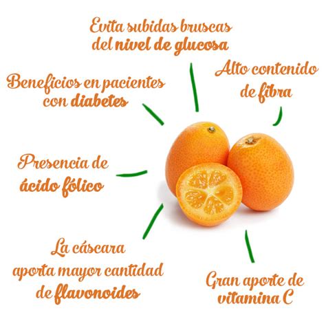 Vitamina C Y Sus Beneficios Para La Piel Hot Sex Picture