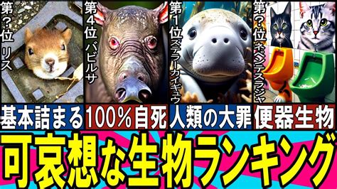 【閲覧注意】かわいそうな生き物 Top10【ゆっくり解説】【総集編】 Youtube