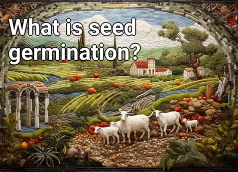 What is seed germination? – Agriculture.Gov.Capital