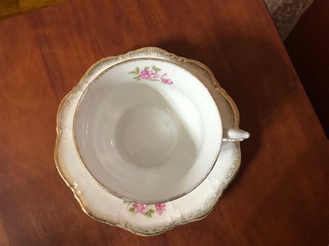 Antique Carl Tielsch C T Altwasser Germany Floral Tea Cup And Saucer