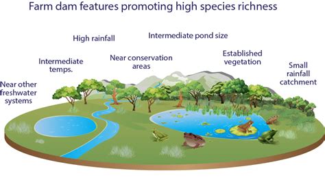 Biodiversity Blue Carbon Lab