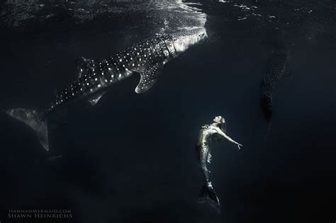 Real Life Mermaids Found