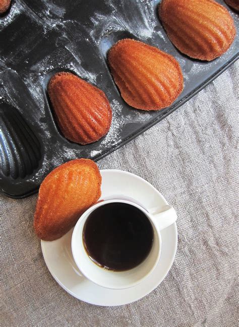 Honey Vanilla Madeleines By Patisserie Makes Perfect