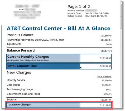 Billing Invoice Overview Example Invoices With Domestic Solutions