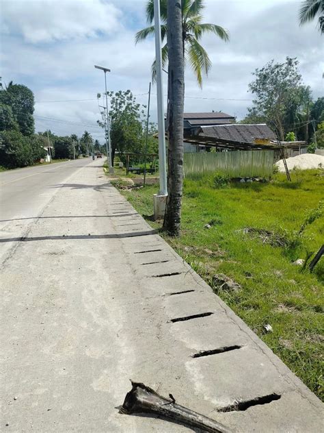 Commercial Lot For Sale Sqm Clean Title Dauis Bohol Philippines