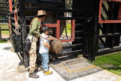 El Parque Ecol Gico Zacango Te Invita A Vivir Una Experiencia