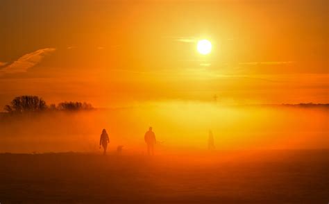 mist fog dog walkers  photo  pixabay pixabay