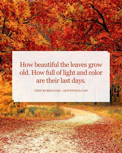 64 Happy & Inspirational Fall Quotes for Autumn 2025